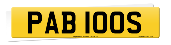 Registration number PAB 100S